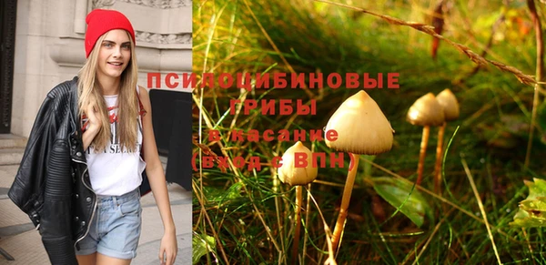 не бодяженный Краснослободск