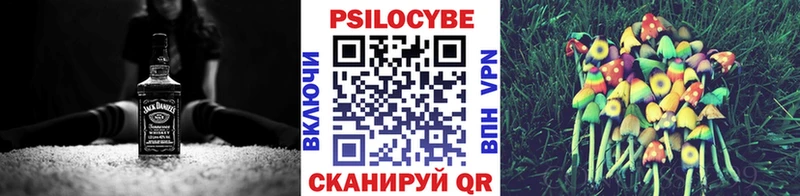 MEGA онион  Устюжна  Псилоцибиновые грибы мицелий  наркота 